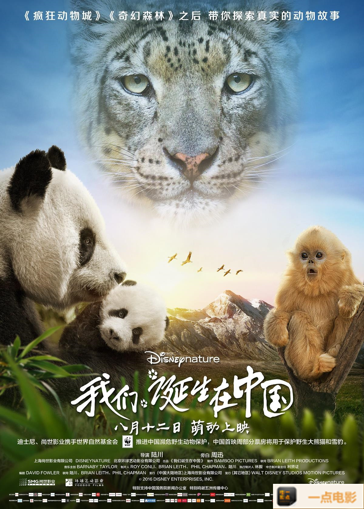 电影【我们诞生在中国】海报