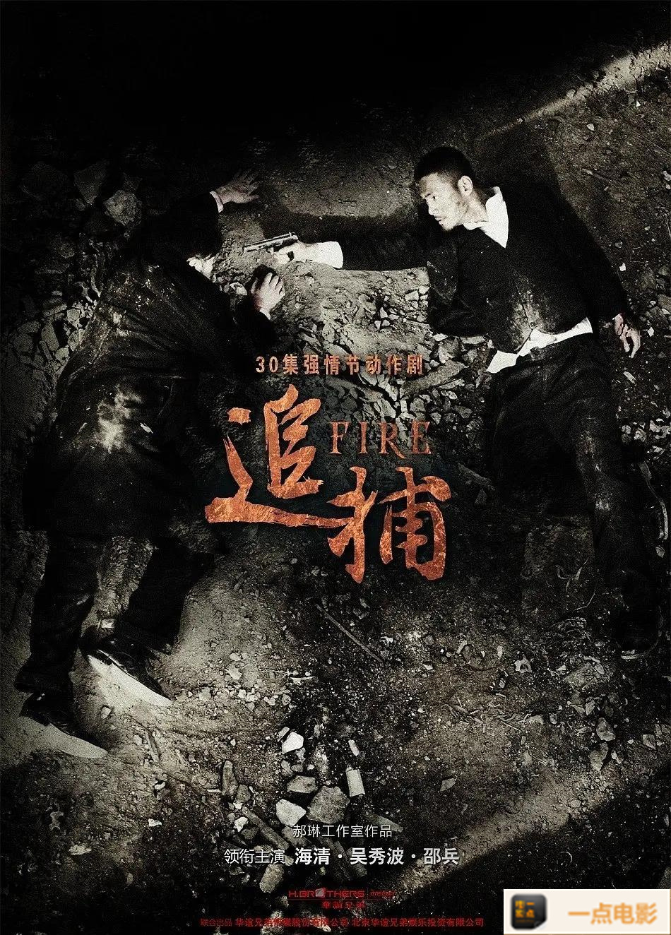 电影【2010中国追捕DVD-RMVB】海报