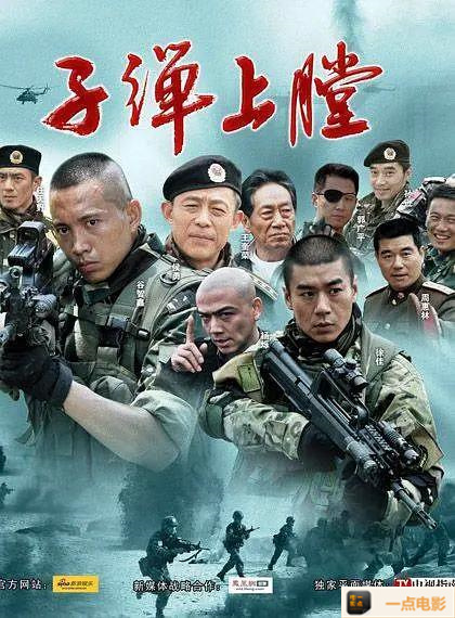 电影【2011国产我是特种兵 25全集 DVD-MP4】海报