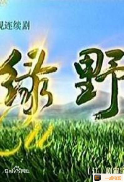 电影【2011中国绿野VCD-RMVB国语中字30集全2011乡村情感戏】海报