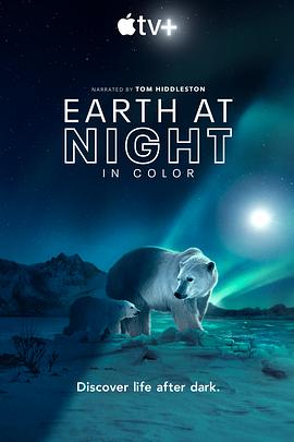电影【夜色中的地球第二季】海报