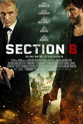 【Section 8】海报