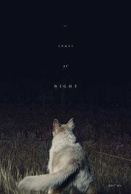 电影【它在黑夜到访(台)】海报