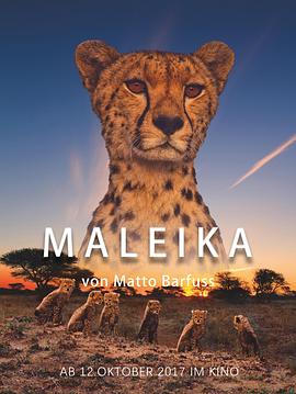 电影【非洲：动物乐园】海报