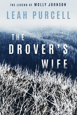 电影【The Drover’s Wife】海报