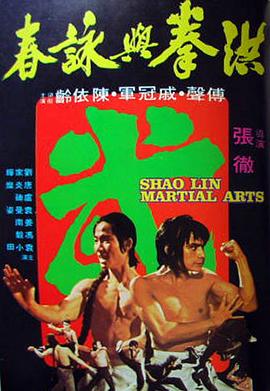 【Shaolin Martial Arts】海报