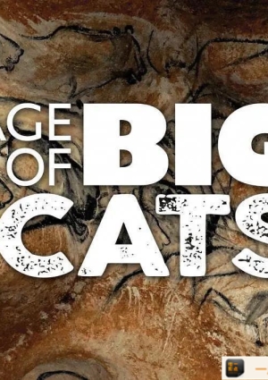 大猫时代/Age of Big Cats 第一季全03集打包英语英字MKV1080P海报