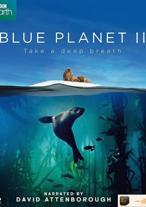 蓝色星球2/蓝色星球第二季海报