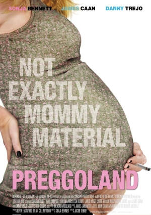 孕妇风波海报