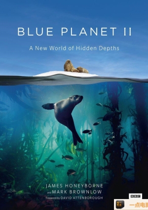 蓝色星球第二季海报