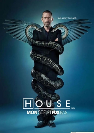 豪斯医生第六季HouseM.D.Season6 2009海报
