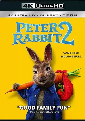 比得兔2：走佬日记(港) / 比得兔兔(台) / 比得兔2 / 彼得兔2 / Peter Rabbit 2海报