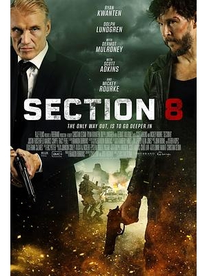 Section 8海报