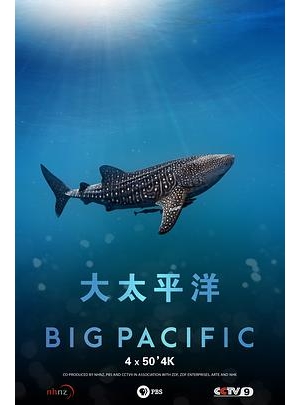 Big Pacific海报