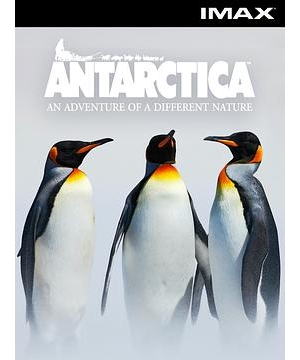 南极物语海报