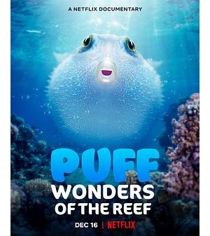 Puff: Wonders of the Reef海报