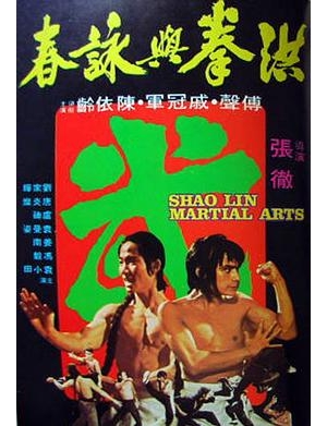 Shaolin Martial Arts海报