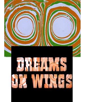 Air India / Dreams on Wings海报