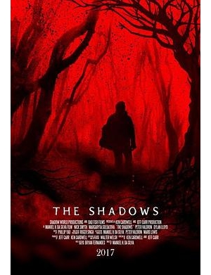 The Shadows海报